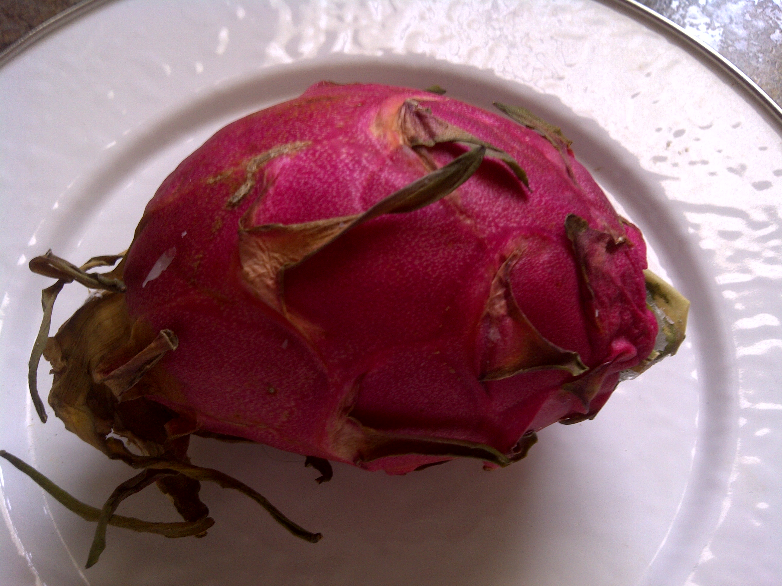 dragonfruit uncut