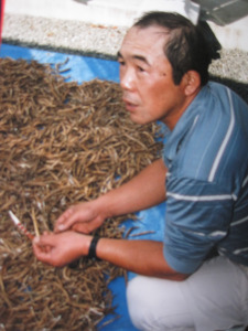 Japanese farmer with soybeans Hitomisan