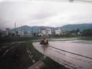 rice field in Kameoka, Japan