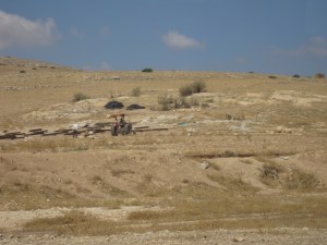 the West Bank desert