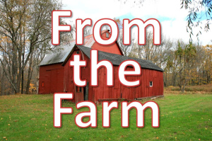 from the farm blog series