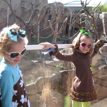 watching the monkeys (our girls can be monkeys!)