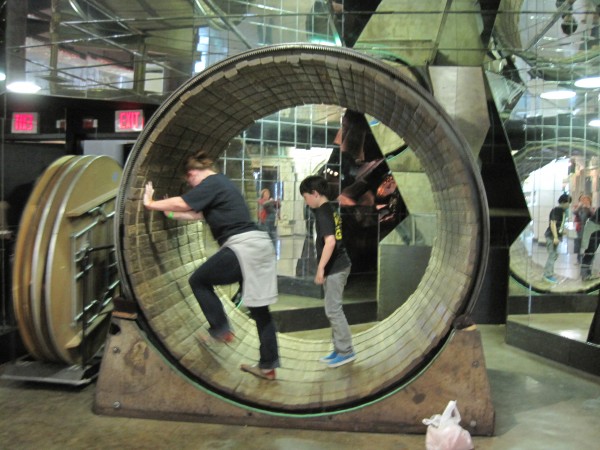 hamster wheelin