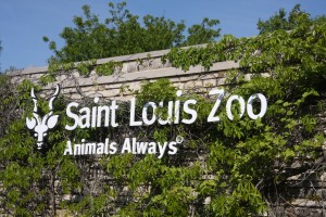 Saint Louis Zoon Animals Always