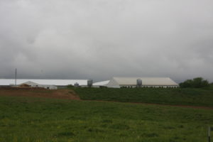 pig barns from down hill