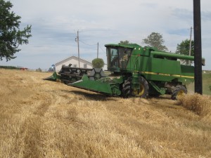 combine ready to harvest wheat