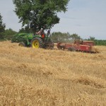 baling hay straw