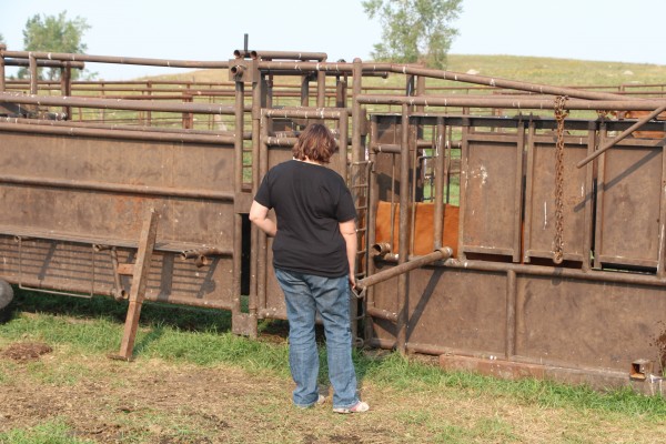 Val working the chute