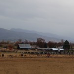 ranch in the Scott Valley