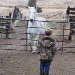 Kyle with a horse