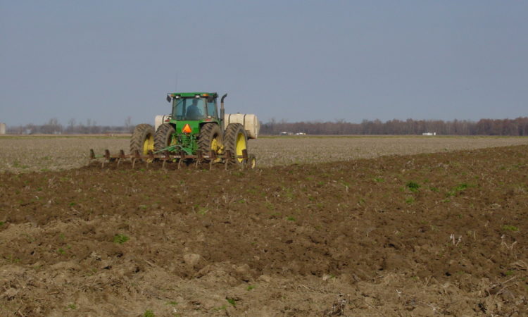 tractor getting ready to plant