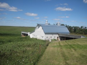 farm land with a barn