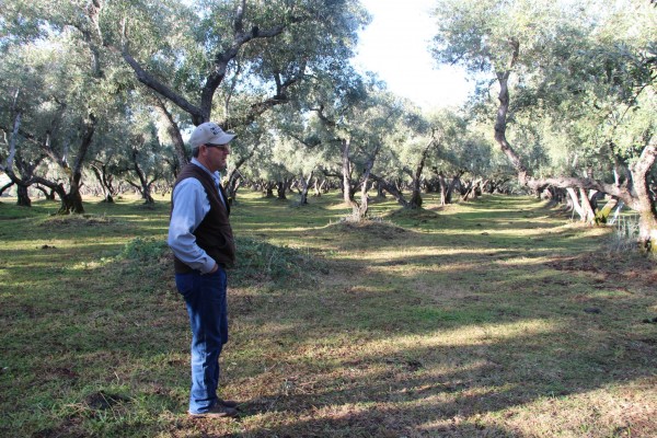 California olive farmer Irv Leen