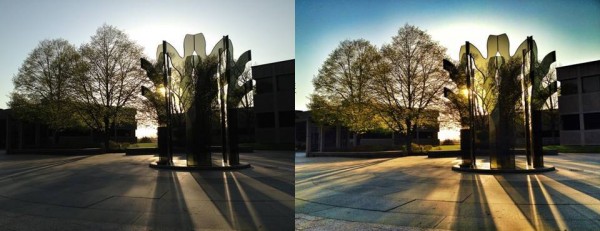 branches of promise at Monsanto St. Louis