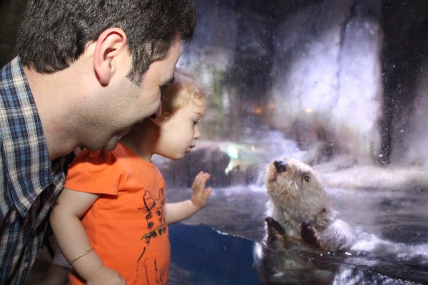 Original photo of otter & child 