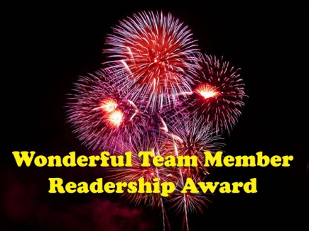 wonderful team award