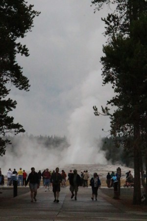 Old Faithful