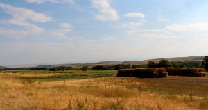 hay stack ready for winter