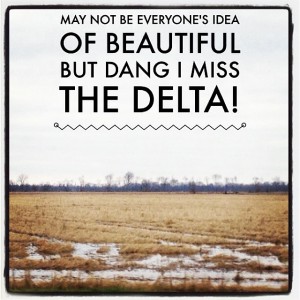 dang, I miss the Delta