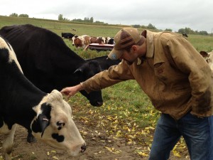 Tim checks out one of the cows