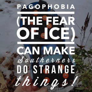 Pagophoboia (the fear of ice) can make Southerners do strange things!