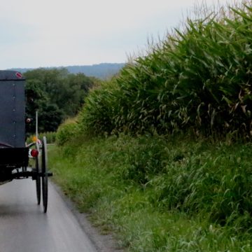 lancaster pennsylvania buggy ride