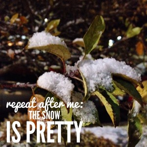 snow-is-pretty