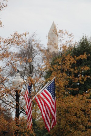 The Washington Monument from the White House grounds