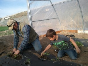 Peterson Farms Finn & Luke