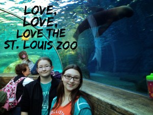 St. Louis zoo exhibit for seals