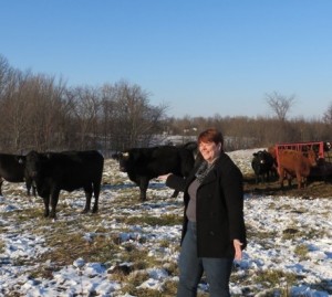 lifting Bull Named Sue