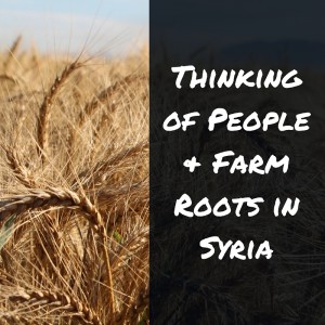People & farm roots in Syria