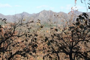 mountains near the Great Wall