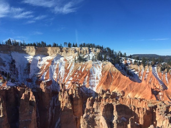 bryce canyon landscape