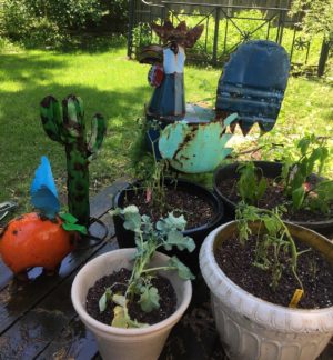 container garden