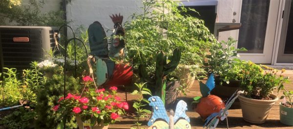 container garden on the deck