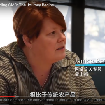 GMO documentary for China