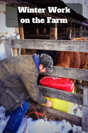 winter work on the farm