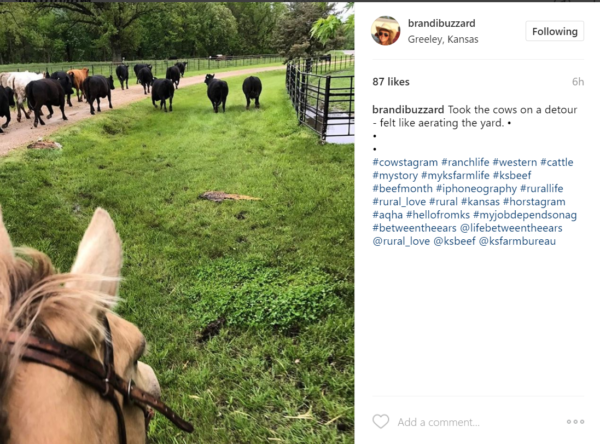 Brandi Buzzard Frobose brandibuzzard on Instagram