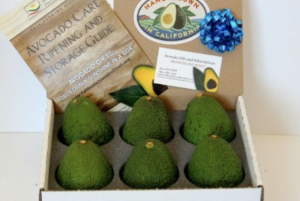 California Avocados Direct from the farm