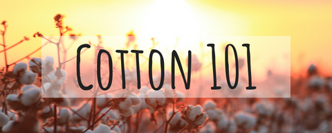 cotton 101