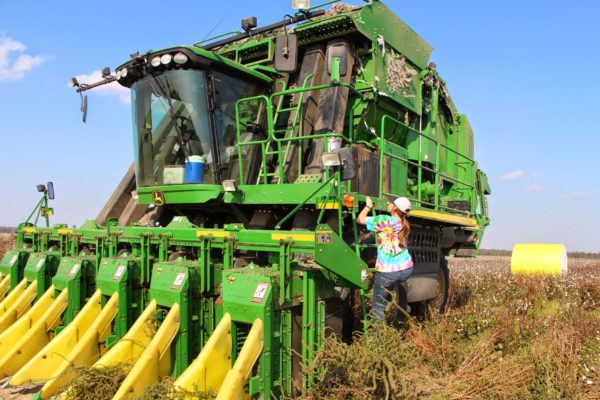 girl getting in a cotton picker